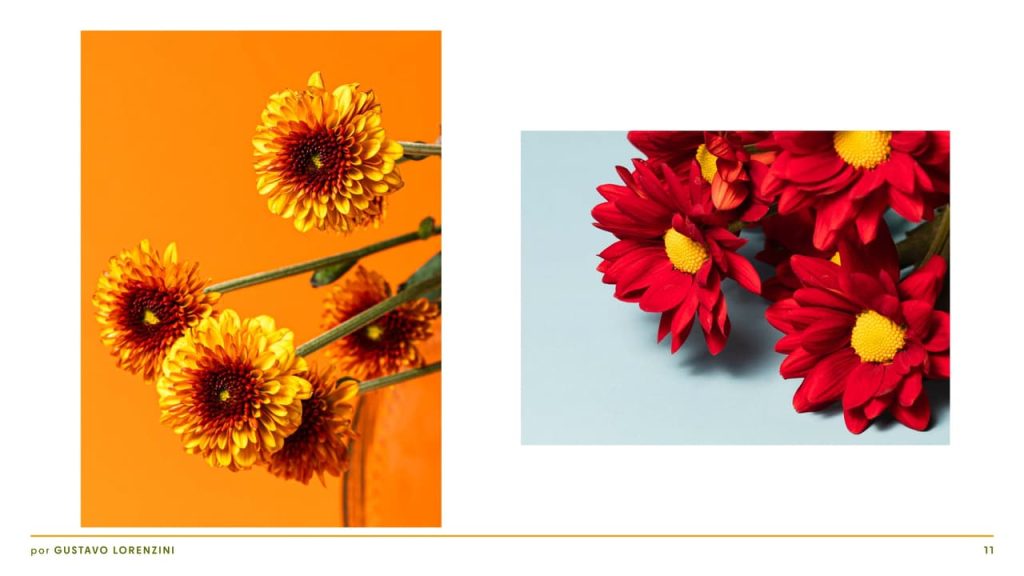 Obra de Gustavo Verrardi Lorenzini Angeli