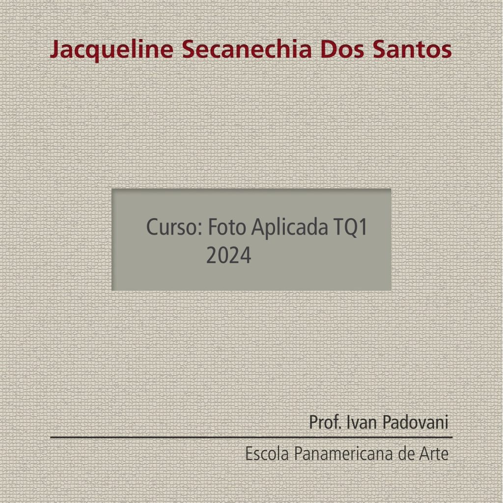 Obra de Jacqueline Secanechia dos Santos