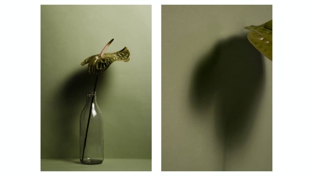 Obra de Jade Navarro Cunha