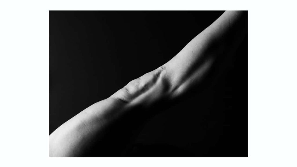 Obra de Jade Navarro Cunha