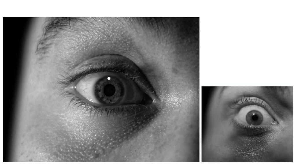 Obra de Jade Navarro Cunha