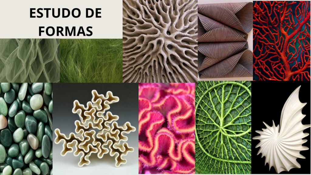 Obra de Julia Pastore