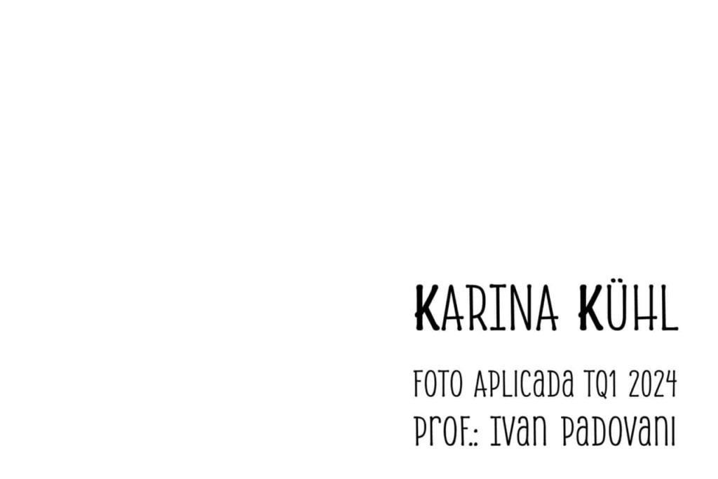 Obra de Karina Kühl de Lima Dias