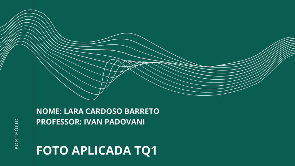 Obra de Lara Cardoso Barreto