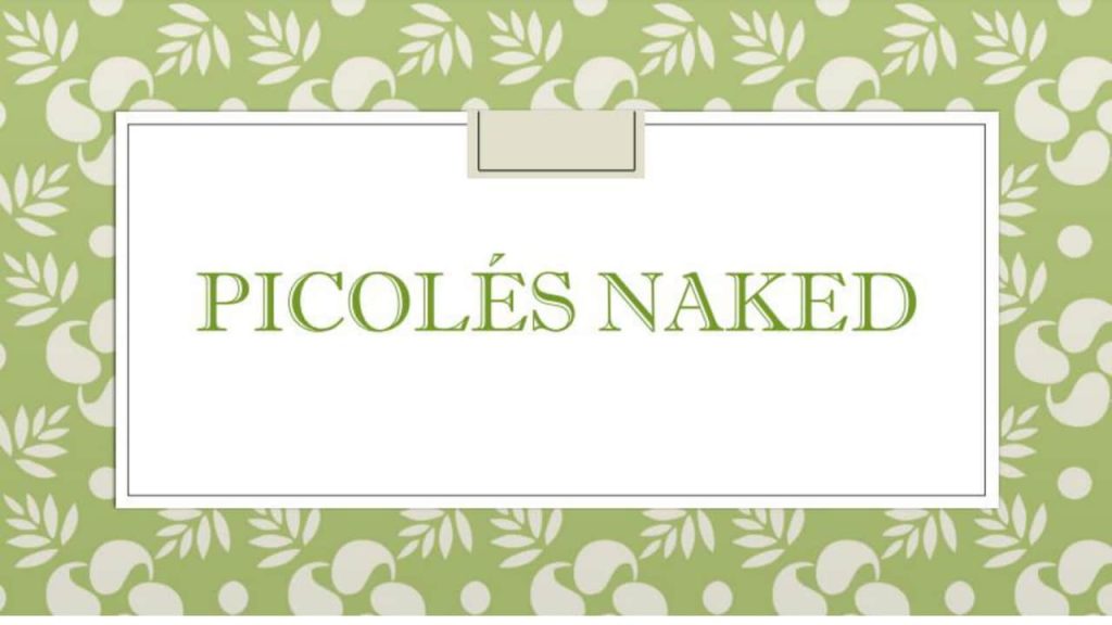 Obra de Laura Cordon Zeferino