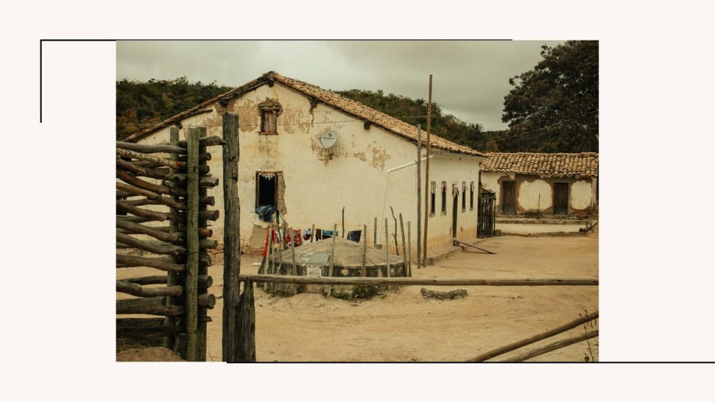Obra de Leticia Beatriz Teixeira da Trindade