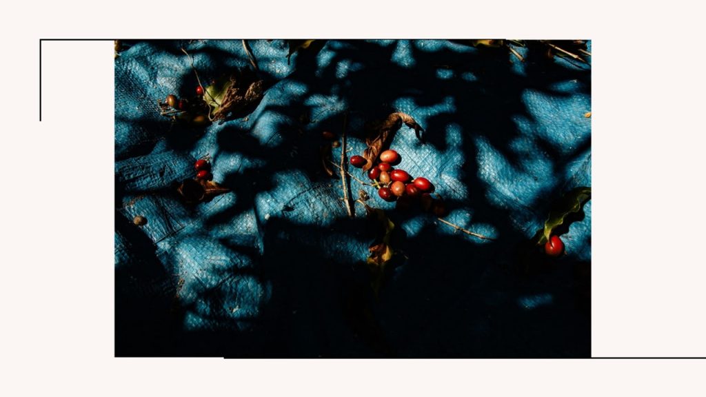 Obra de Leticia Beatriz Teixeira da Trindade