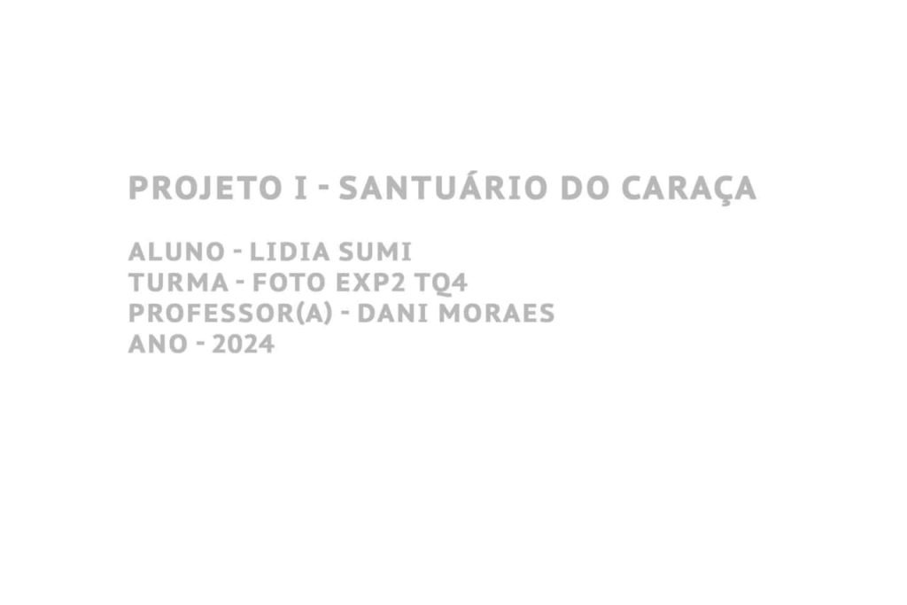 Obra de Lidia Kayoko Sumi