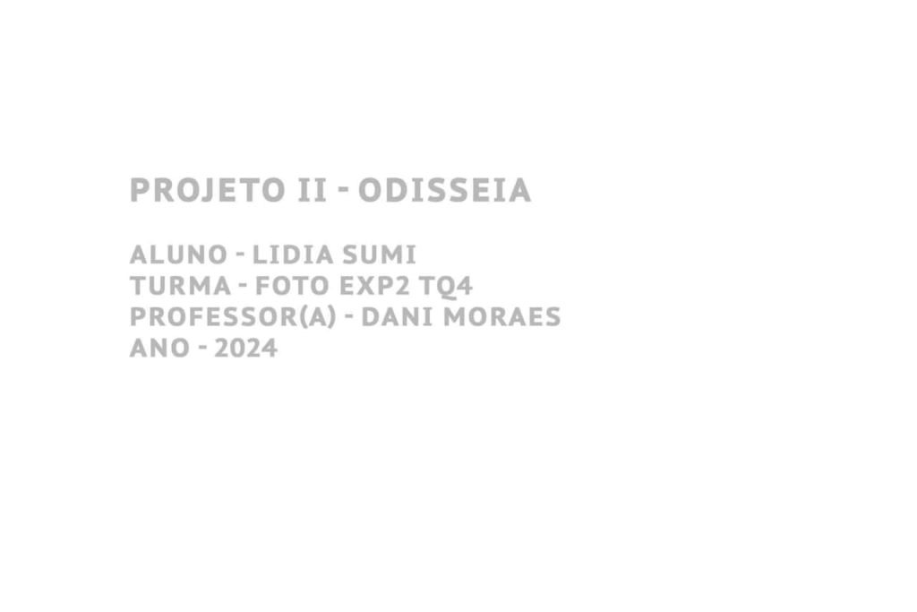 Obra de Lidia Kayoko Sumi