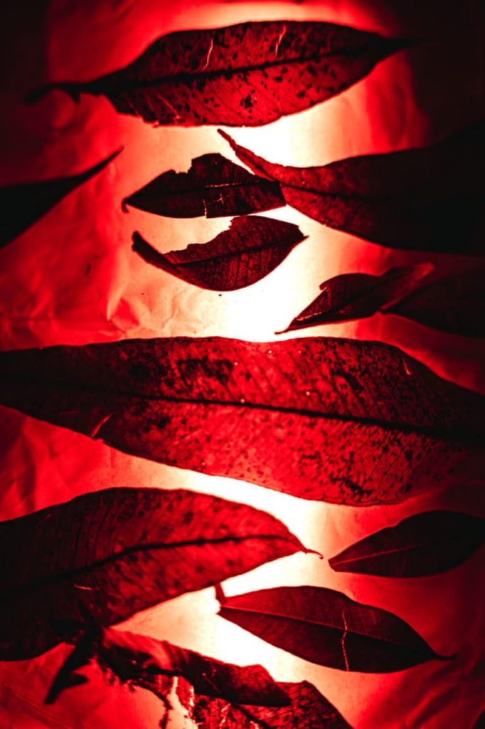 Obra de Lidia Kayoko Sumi