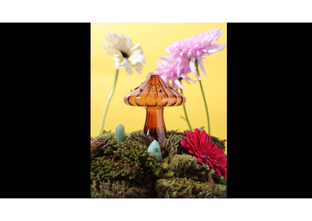 Obra de Mara Iga Barreto