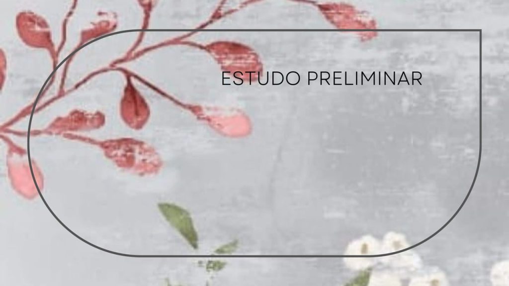 Obra de Mariana Buzetti Melgaço Figueirôa