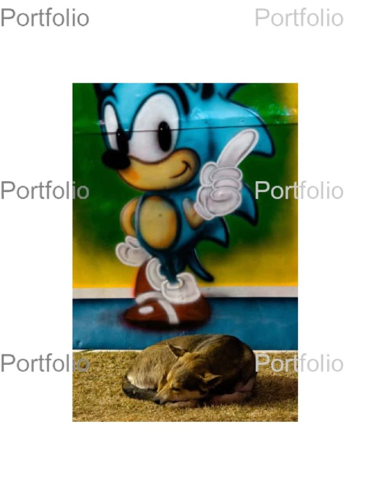 Obra de Pedro Jorge Goulart Santana