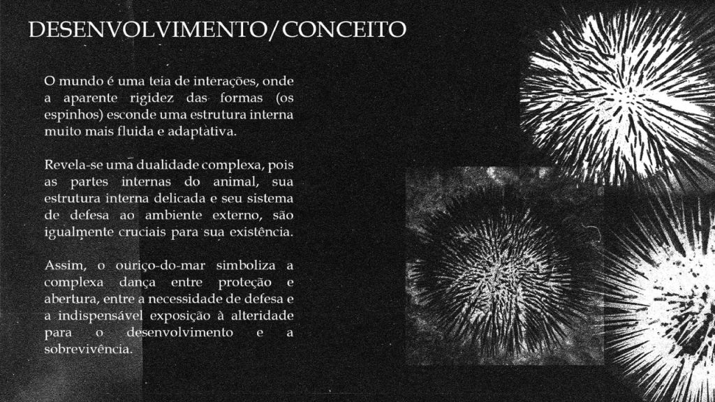Obra de Pedro Mendonça Martins