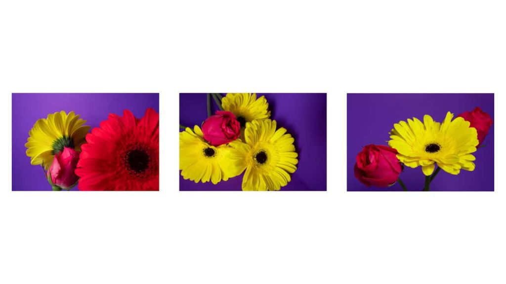 Obra de Rafael Alves Chicaroni