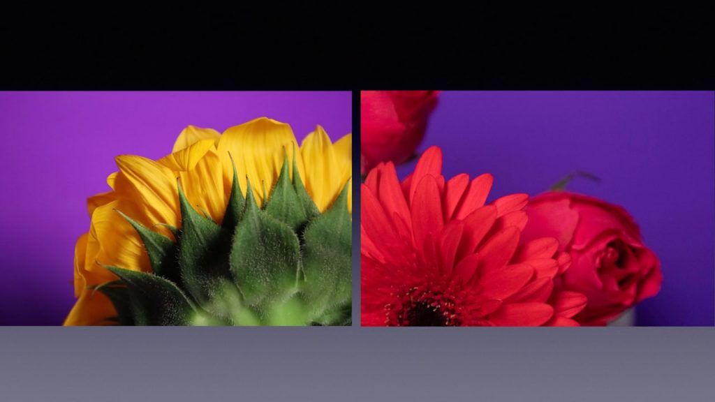 Obra de Regina Alice Baer