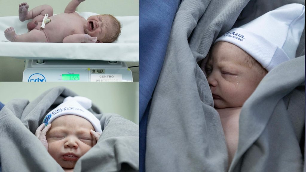 Obra de Regina Alice Baer