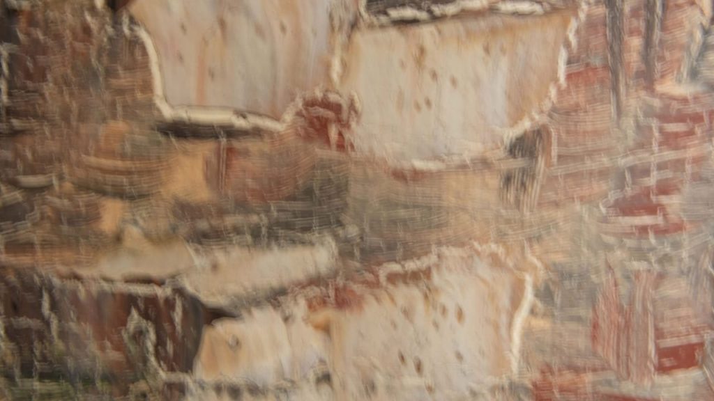 Obra de Sandra Helena Simon Siqueira