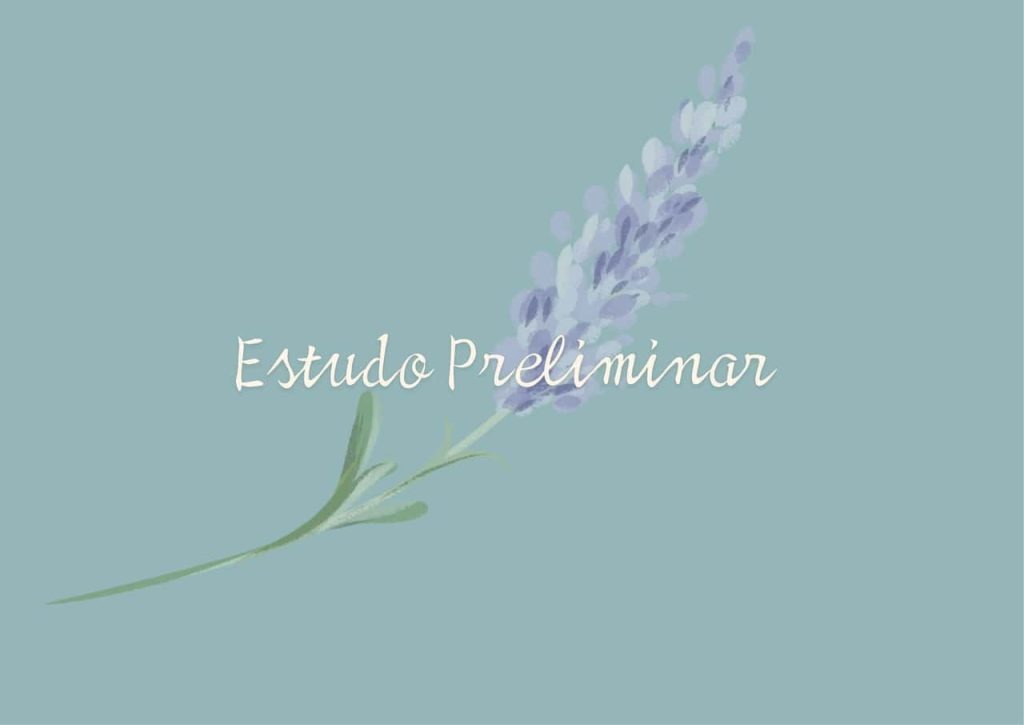 Obra de Silvia Krakowiak Rosenthal
