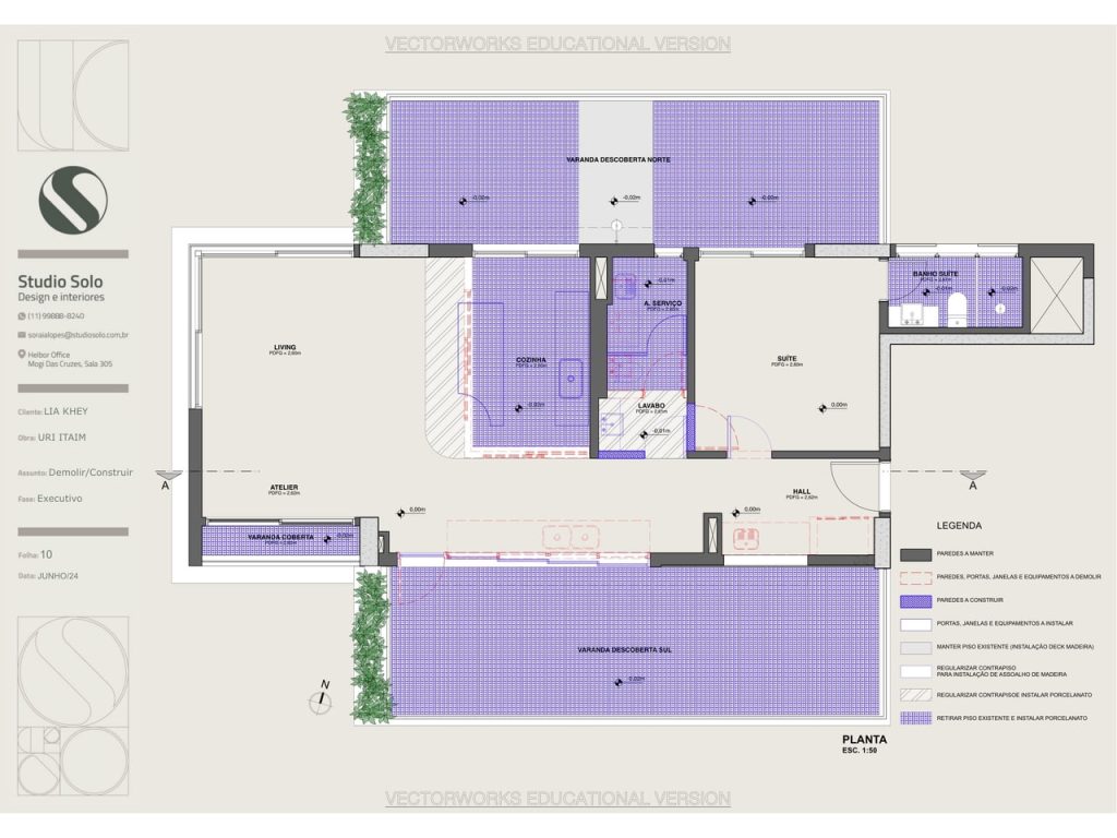Obra de Soraia de Paula Macedo Lopes