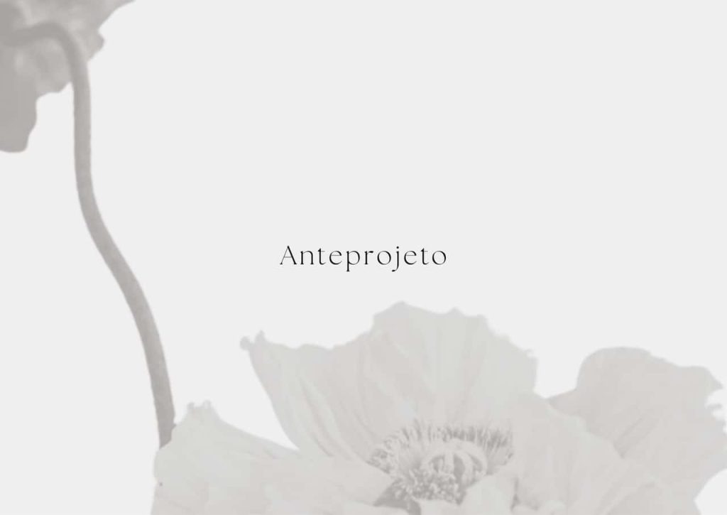 Obra de Stephanie Morin